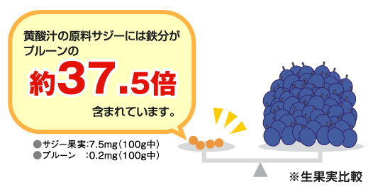 鉄分がプルーンの37.5倍